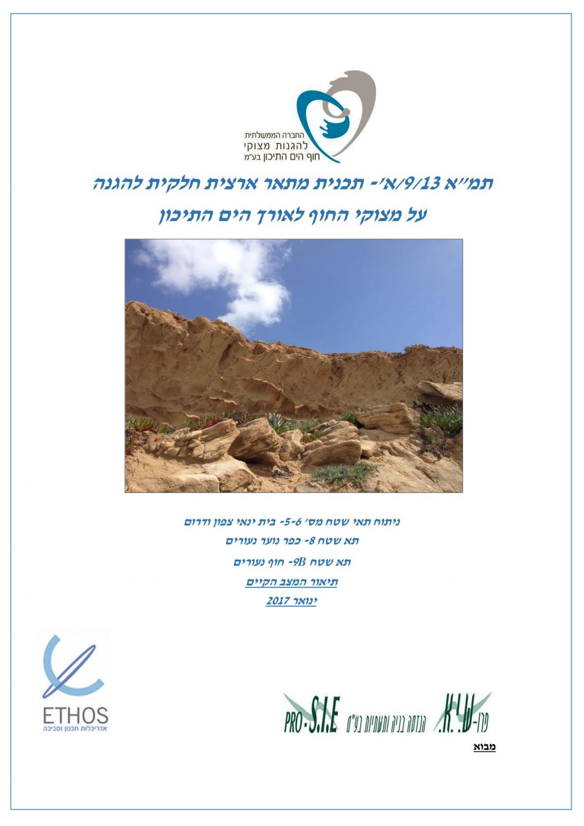 ניתוח תאי השטח - רקע